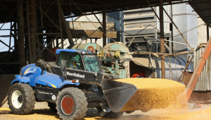 Зърнопреработвателен гигант от САЩ купува завод Амилум - Agri.bg