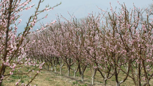 Одобрени са нови продукти за растителна защита - Agri.bg