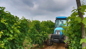 Променена е Програмата за лозаро-винарския сектор 2014-2018 - Agri.bg