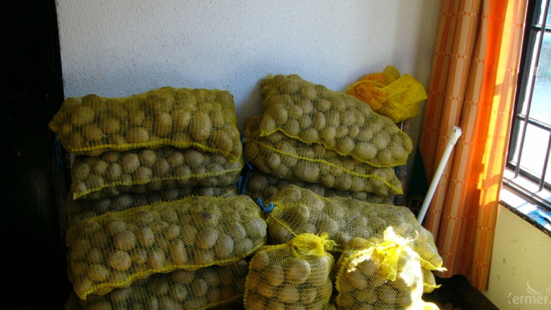 ДФЗ започва прием на заявления по държавна помощ за картофи
