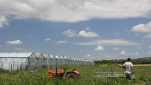 Ваучерна система за сезонни работници в агросектора ще заработи през лятото - Agri.bg