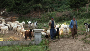 Въвеждат промени за пасищата и фермерите с животни (ВИДЕО) - Agri.bg