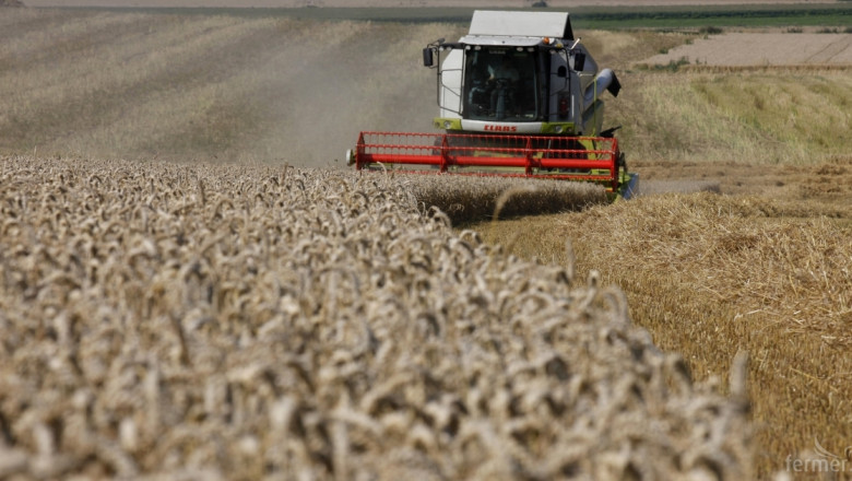 Франция и Германия очакват добрa реколта от пшеница през 2015-та