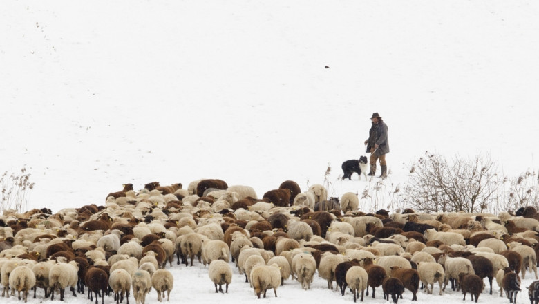 Ферми бедстват под снега в Родопите