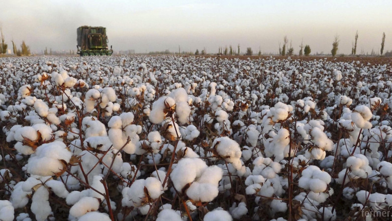 Субсидии за памук ще се отпускат при сключен договор за изкупуване