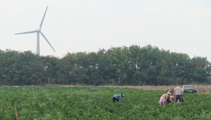Само активните фермери получават субсидии по директни плащания 2015 - Agri.bg