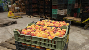 МЗХ публикува заповедта със ставката за качествени плодове и зеленчуци - Agri.bg