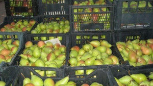Субсидии за плодове и зеленчуци в средата на февруари, очакват стопаните - Agri.bg