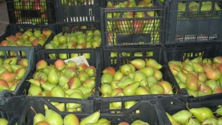 Субсидии за плодове и зеленчуци в средата на февруари, очакват стопаните