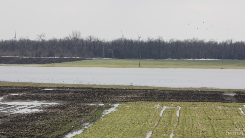 Проливните дъждове досъсипаха посевите със зърно в много части на България