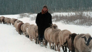 200 000 овце под селекция имат право на нова субсидия от 2015-та (ВИДЕО) - Agri.bg