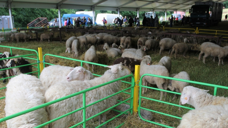 Национален събор на овцевъдите 2015 ще се проведе от 8 до 10 май (ВИДЕО)