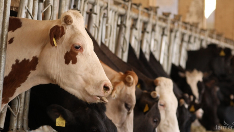 България не успя да договори допълнителна помощ за млечния сектор