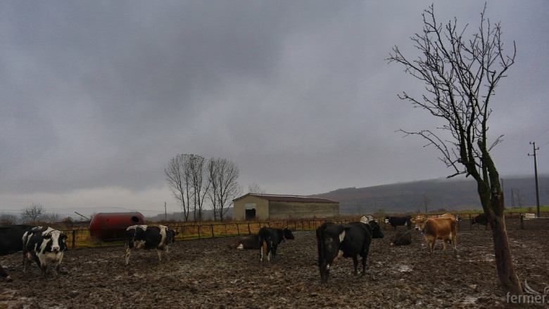  Цанко Цанев: Прогнозите за фалит на ферми се сбъдват! (ВИДЕО)
