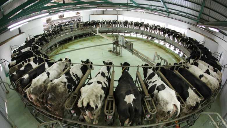МЗХ съветва фермерите да уедряват стадата с млечни крави