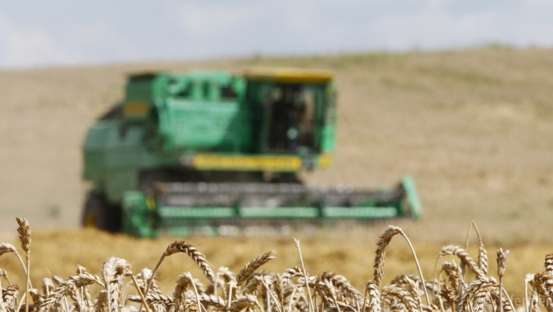 Руското правителство въвежда експортни ограничения за зърно