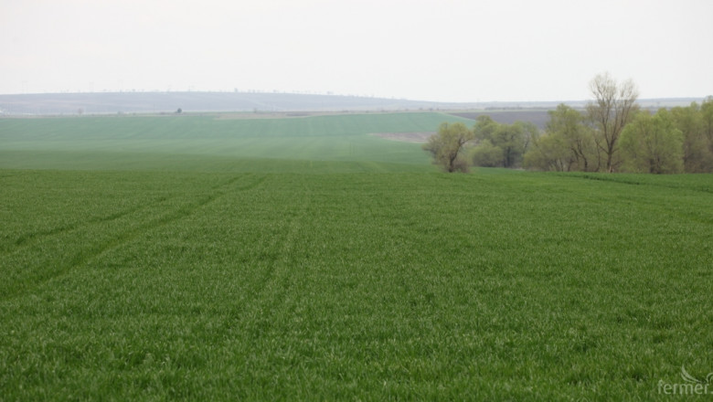 Близо 1 200 000 декара пшеница засяха в Добричка област