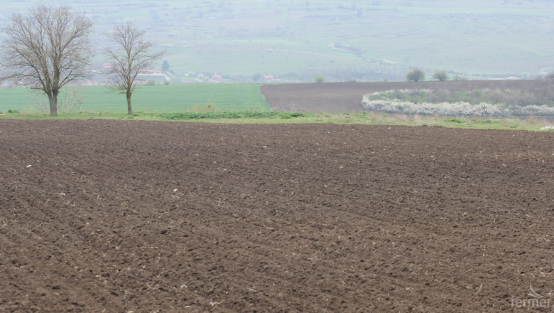 Христо Цветанов: Цената на земедeлската земя може да спадне с 10-15% 
