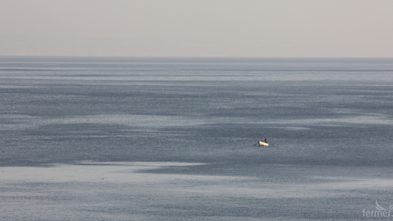 Квотата за улов на калкан в Черно море остава 43,2 тона