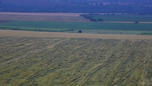 Фермерите ще получат държавна помощ за пропадналите площи през 2014-та - Agri.bg