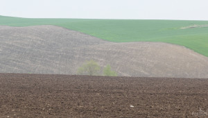 Осем земеделски фирми вероятно ще са засегнати от таваните по СЕПП (ВИДЕО) - Agri.bg