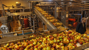 ДФЗ ще възстановява транспортните разходи при изтегляне на плодове и зеленчуци  - Agri.bg