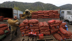 Фермери очакват България да бъде залята дъмпингово с евро-картофи - Agri.bg