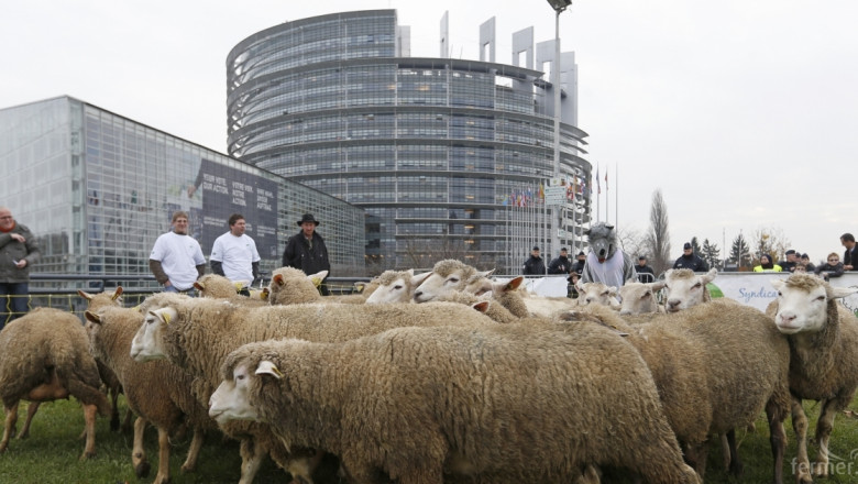 Овцевъди протестираха пред Европейския парламент (СНИМКИ)