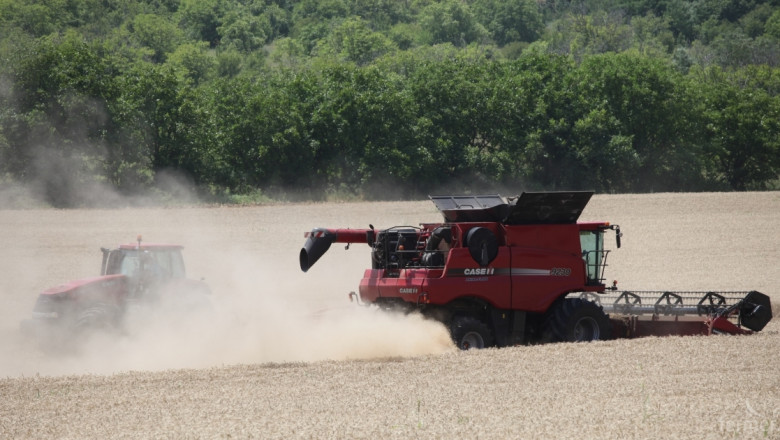 5 000 000 тoна пшеница от реколта 2014, отчете Съветът по зърното