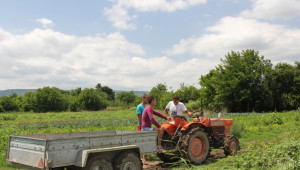 НССЗ ще изготвя безплатно проекти на млади фермери по ПРСР (ВИДЕО) - Agri.bg