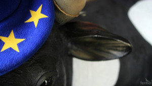 ЕС отпусна 28 млн. евро за млекопроизводителите в Литва, Латвия и Естония - Agri.bg
