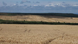 Тракийският съюз на зърнопроизводителите има ново ръководство - Agri.bg