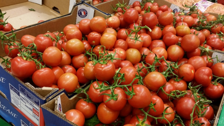 Кипърски домати, краставици и чушки превземат България!