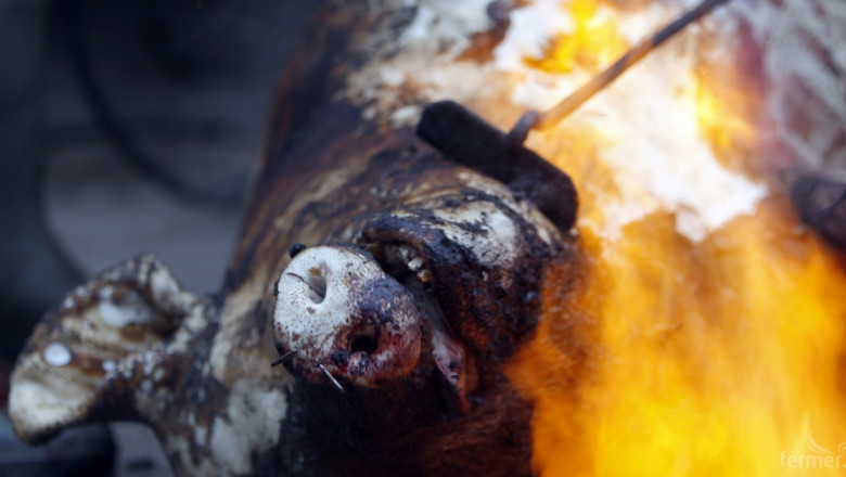 Над 5000 свине изгоряха при пожар в свинекомплекс