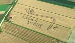 Фермер 'гравира' с трактора си вируса Ебола в житно поле - Agri.bg