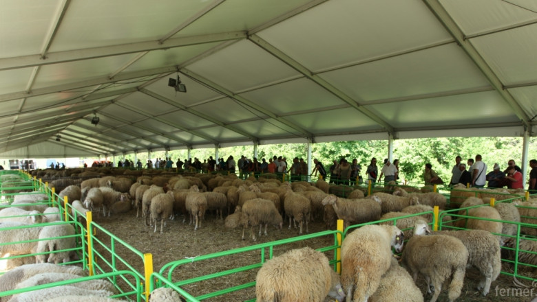 Тече подготовката за Националния събор на овцевъдите 2015
