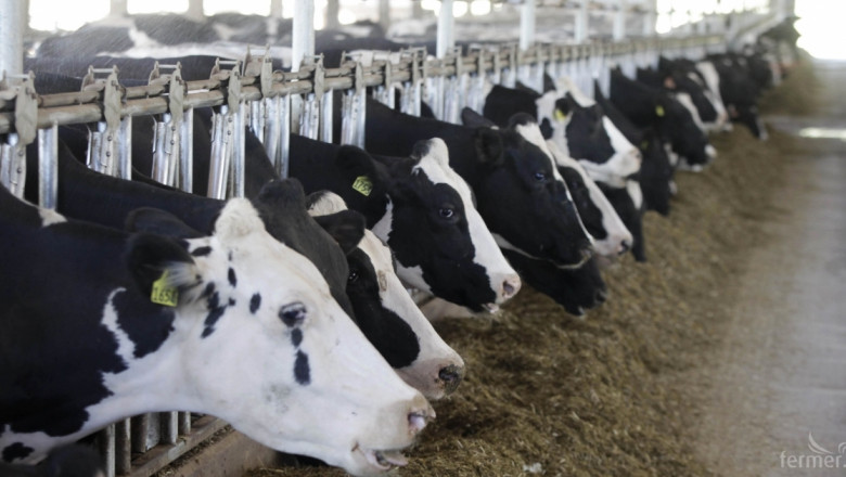 МЗХ предвижда задължителни договори за мляко между фермери и изкупвачи