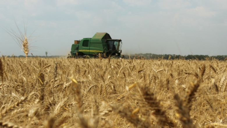 Николай Ценов: По-малко площи със зърно ще има през 2015