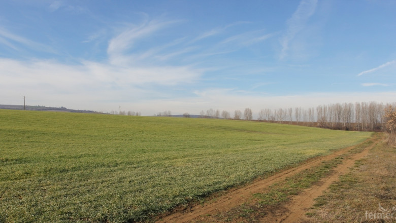 Светла Бъчварова: Фермерите да получат субсидиите по СЕПП в началото на 2015!