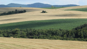 Необработваемата земя в България намалява значително - Agri.bg