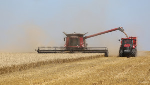 Зърнена реколта 2014: България произведе 4 870 хил. т. пшеница - Agri.bg