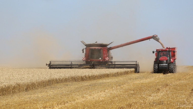 Зърнена реколта 2014: България произведе 4 870 хил. т. пшеница