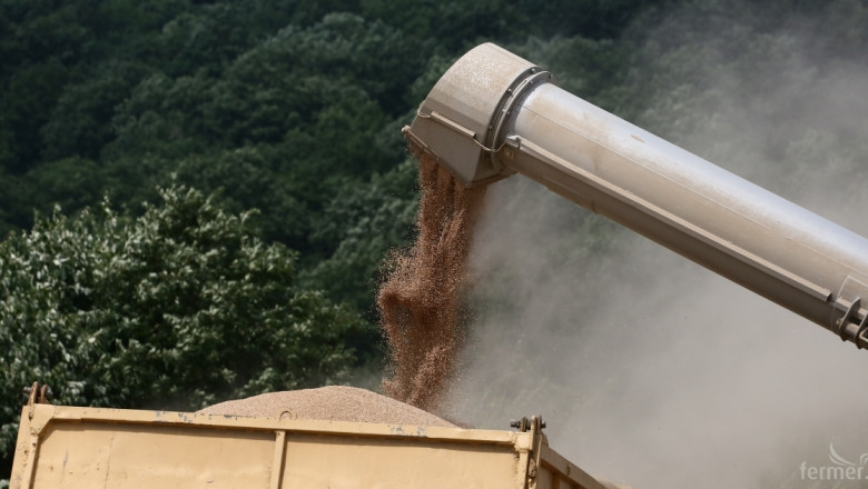 Цените на пшеницата ще останат ниски, прогнозира МЗХ