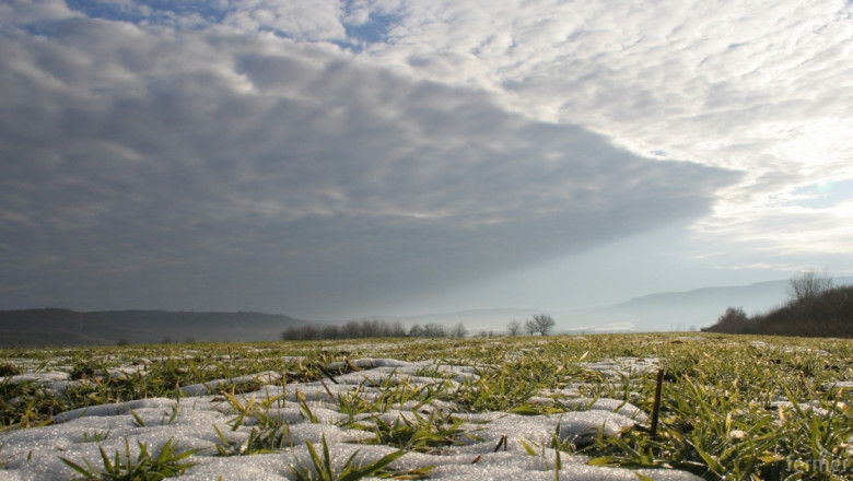 Ранният сняг носи  рискове за посевите с пшеница