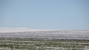 Речните нива ще се повишат в четвъртък и петък, в събота – сняг! - Agri.bg