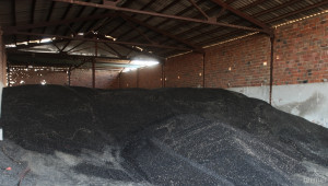  Жътвата на слънчоглед в Монтанско приключва с добив 240 кг/дка - Agri.bg