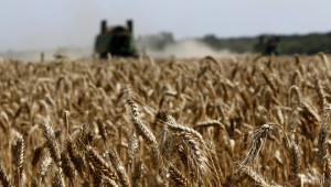 Украйна ще продължи да внася зърно без мито в ЕС - Agri.bg