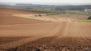 Унгария ограничи чужди инвестиции в земеделска земя - Agri.bg