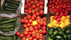 ДФЗ започна прием по извънредната схема за плодове и зеленчуци - Agri.bg