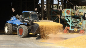 Зърнена реколта 2014: До 750 кг/дка царевица жънат в Ловешко - Agri.bg